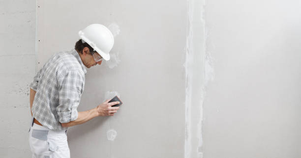 Best Water-Damaged Drywall Repair  in Plandome, NY